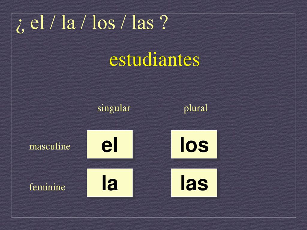 ¿ el / la / los / las estudiantes el los la las singular plural