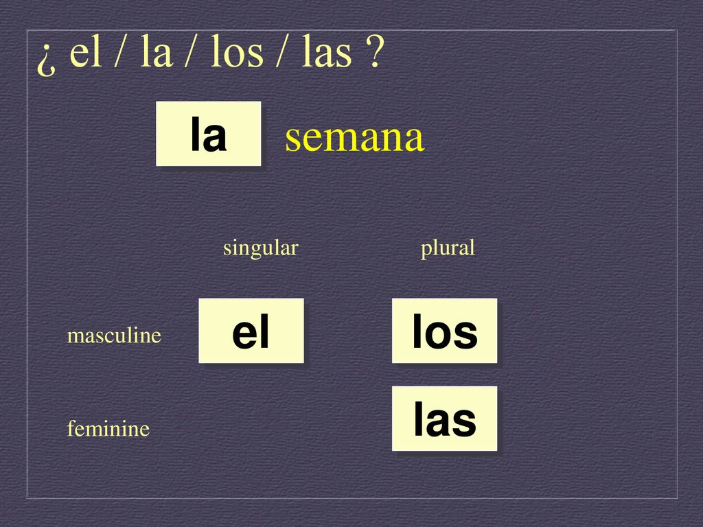 ¿ el / la / los / las semana la el los las singular plural masculine