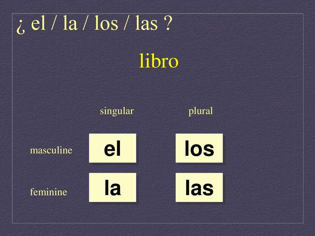 ¿ el / la / los / las libro el los la las singular plural masculine
