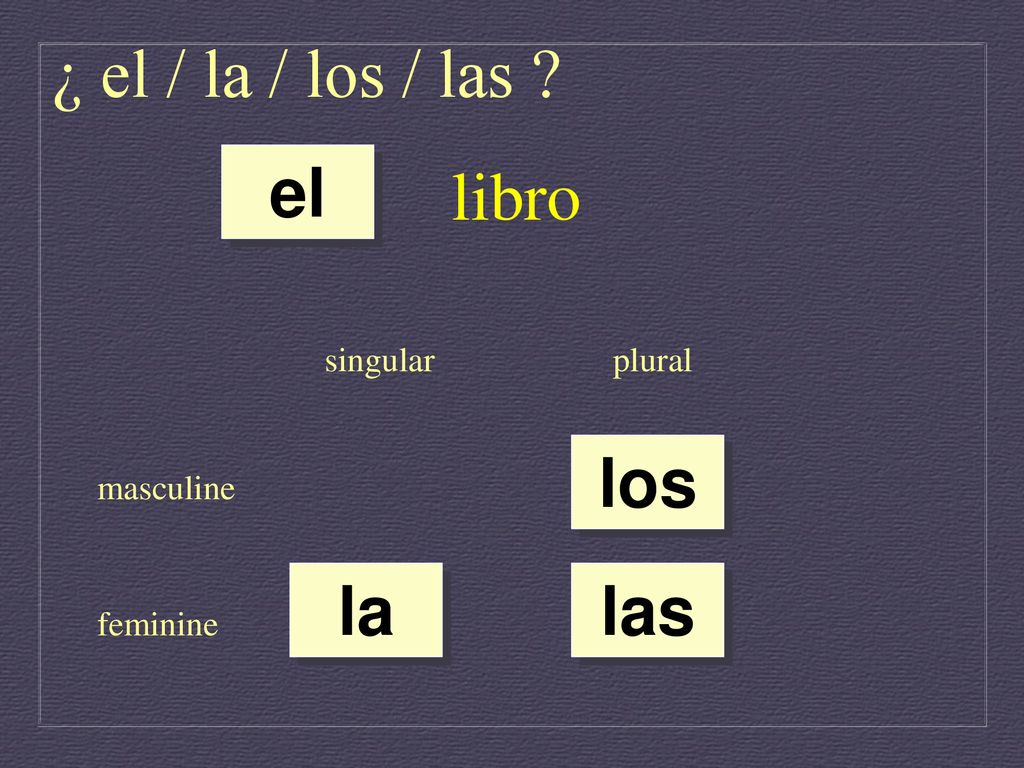 ¿ el / la / los / las libro el los la las singular plural masculine