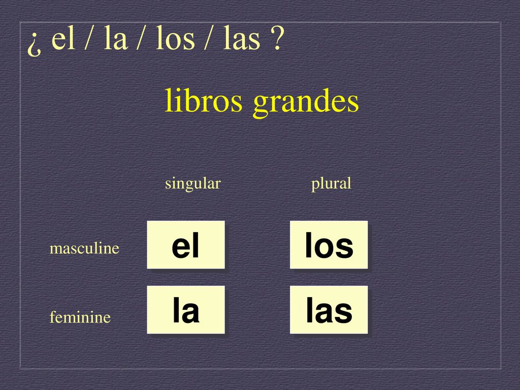 ¿ el / la / los / las libros grandes el los la las singular plural