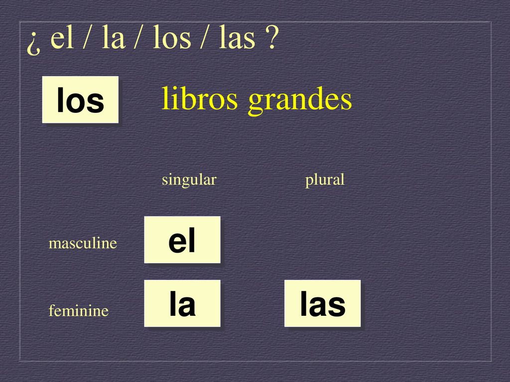 ¿ el / la / los / las libros grandes los el la las singular plural
