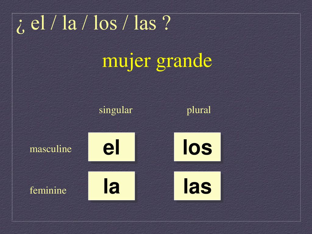 ¿ el / la / los / las mujer grande el los la las singular plural