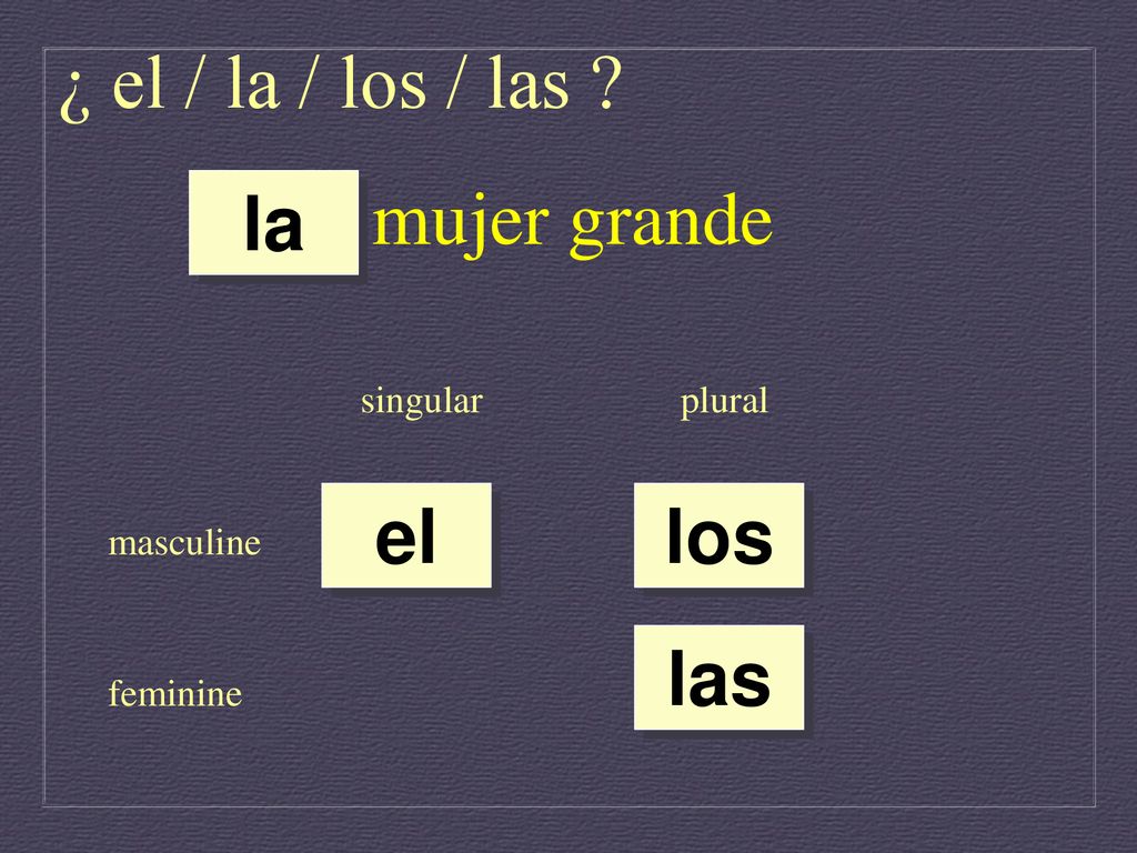 ¿ el / la / los / las mujer grande la el los las singular plural