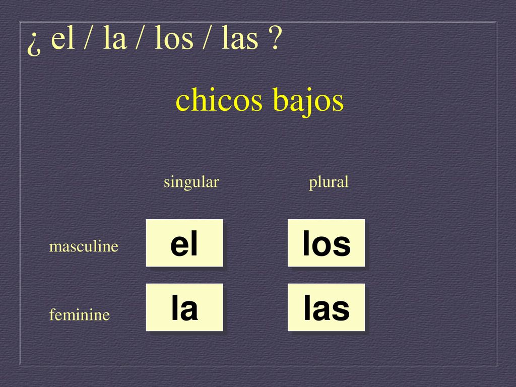¿ el / la / los / las chicos bajos el los la las singular plural