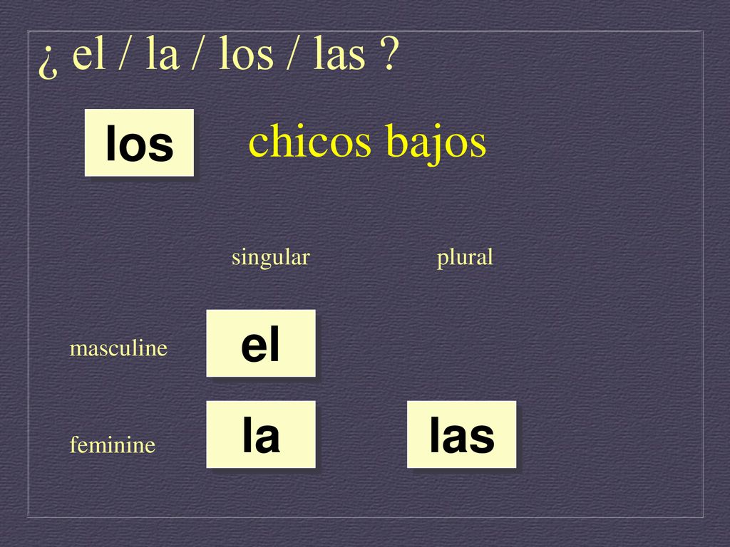 ¿ el / la / los / las chicos bajos los el la las singular plural