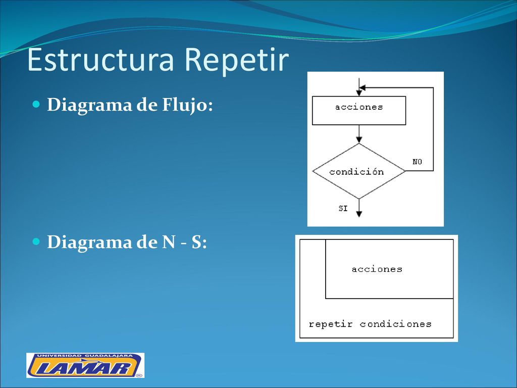 Estructura Repetir Diagrama de Flujo: Diagrama de N - S: