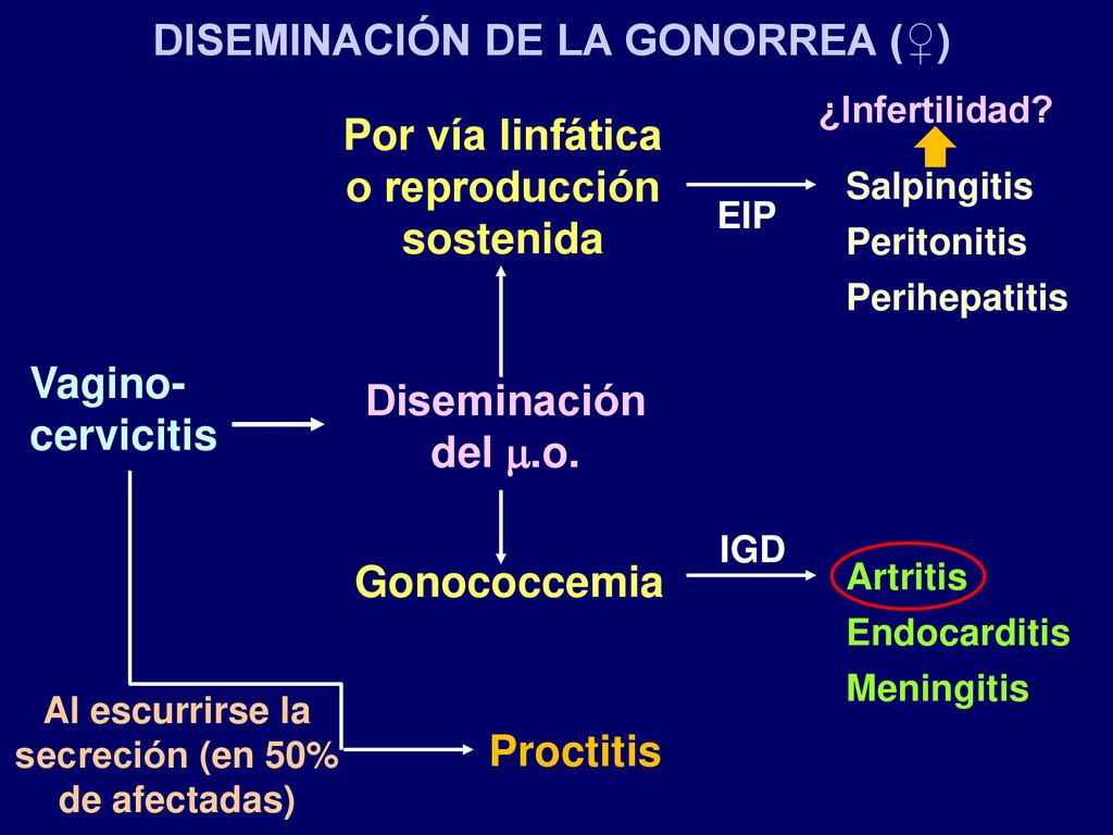 Por vía linfática o reproducción sostenida Diseminación del .o.