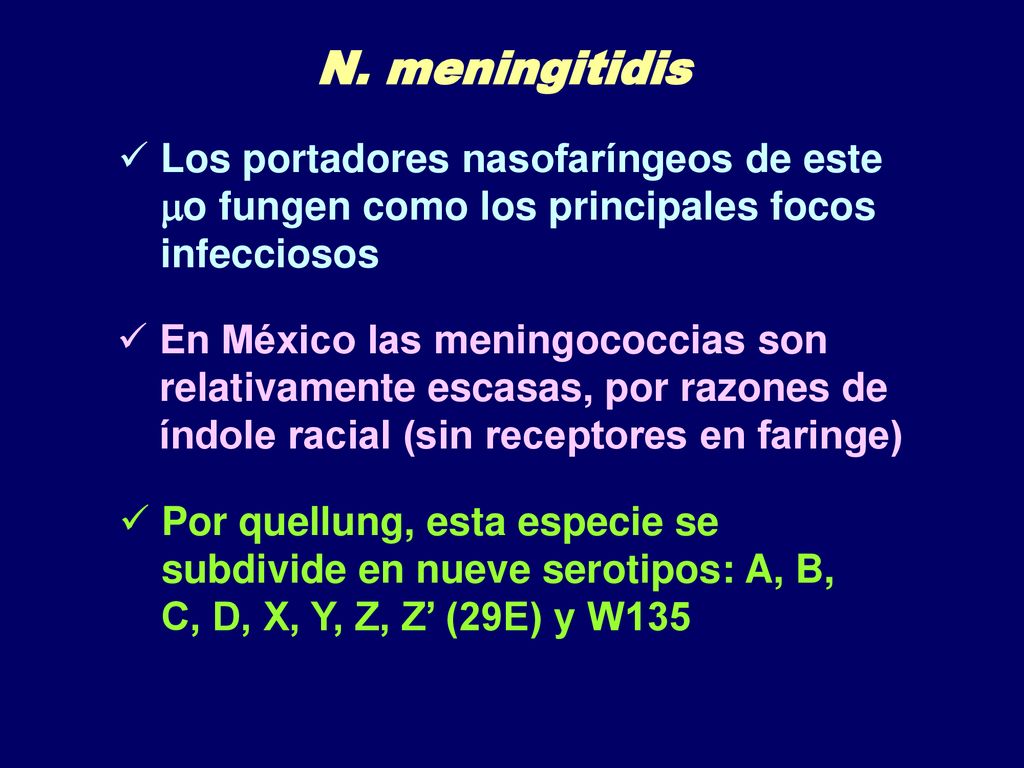 N. meningitidis Los portadores nasofaríngeos de este o fungen como los principales focos infecciosos.