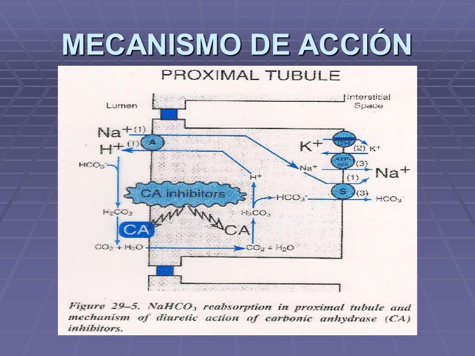 MECANISMO DE ACCIÓN