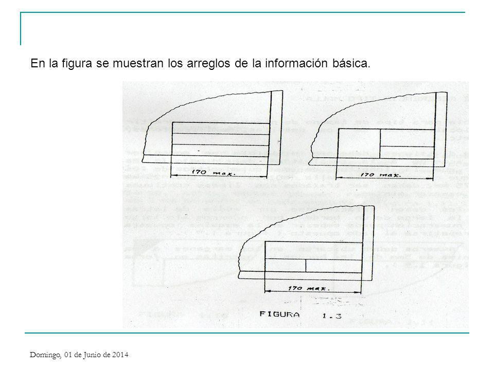 En la figura se muestran los arreglos de la información básica.
