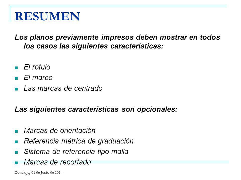 RESUMEN Los planos previamente impresos deben mostrar en todos los casos las siguientes características: