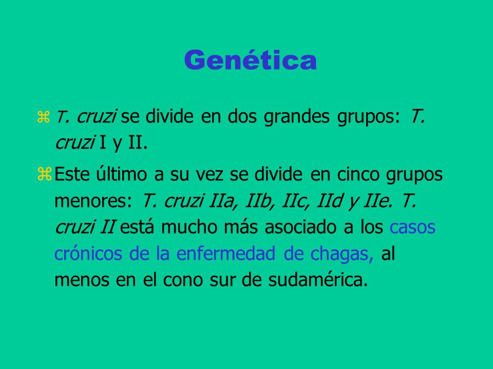 Genética T. cruzi se divide en dos grandes grupos: T. cruzi I y II.