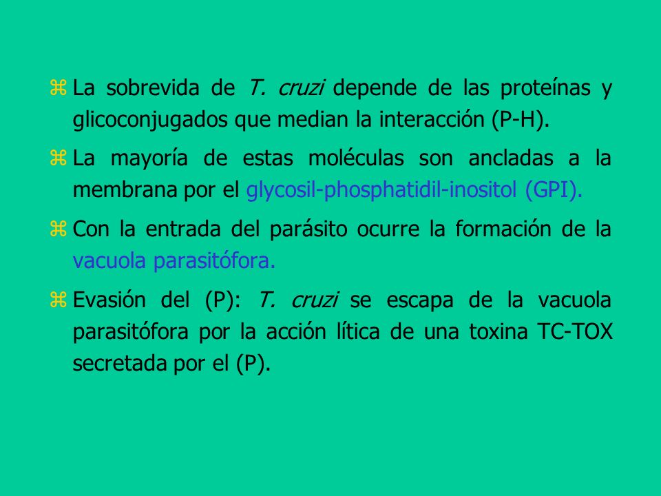 La sobrevida de T. cruzi depende de las proteínas y glicoconjugados que median la interacción (P-H).