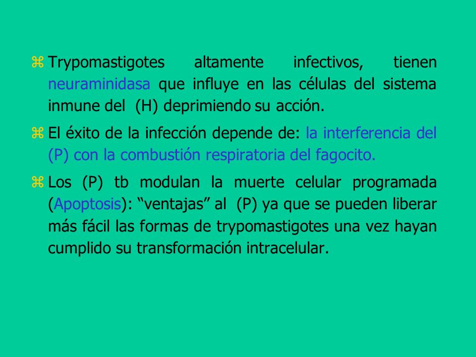 Trypomastigotes altamente infectivos, tienen neuraminidasa que influye en las células del sistema inmune del (H) deprimiendo su acción.