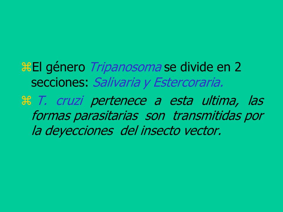 El género Tripanosoma se divide en 2 secciones: Salivaria y Estercoraria.