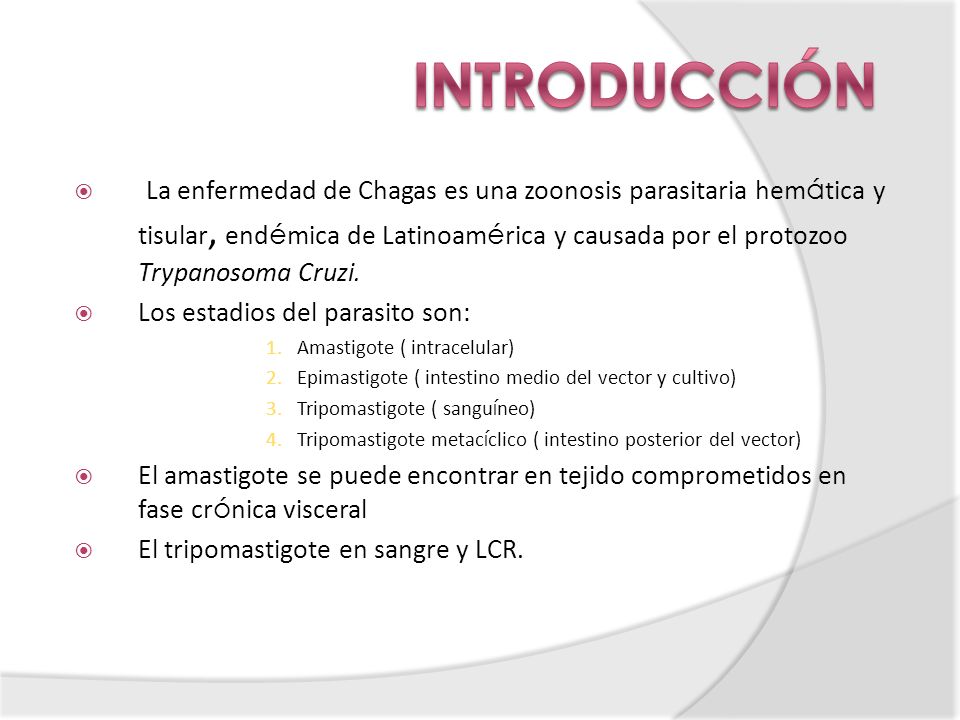INTRODUCCIÓN