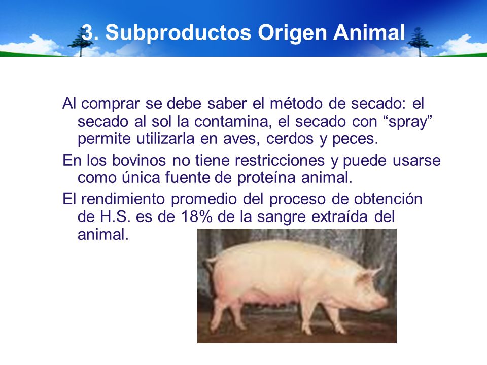 3. Subproductos Origen Animal