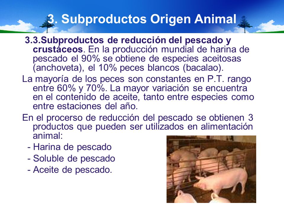 3. Subproductos Origen Animal
