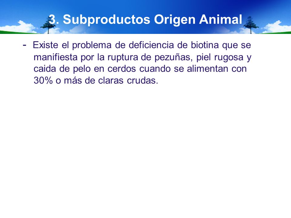 3. Subproductos Origen Animal