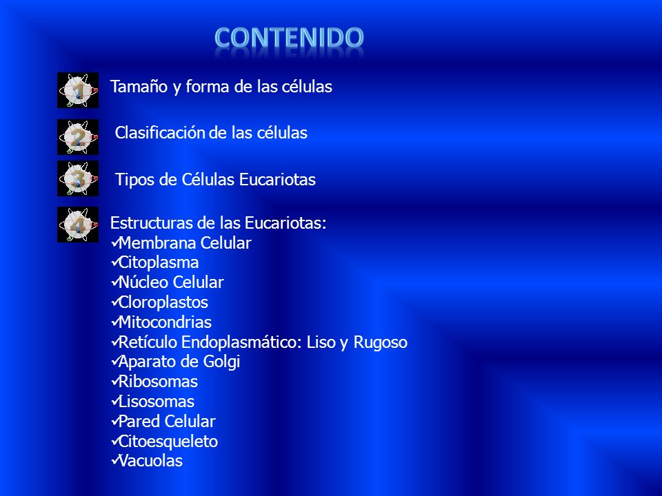 contenido Tamaño y forma de las células Clasificación de las células