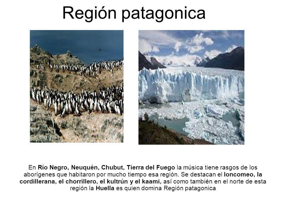 Región patagonica