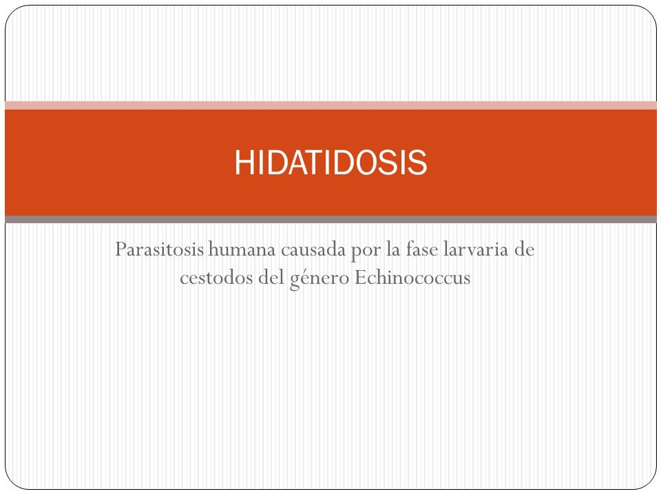 HIDATIDOSIS Parasitosis humana causada por la fase larvaria de cestodos del género Echinococcus