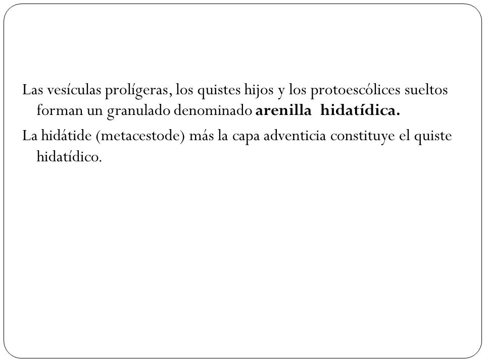 Las vesículas prolígeras, los quistes hijos y los protoescólices sueltos forman un granulado denominado arenilla hidatídica.