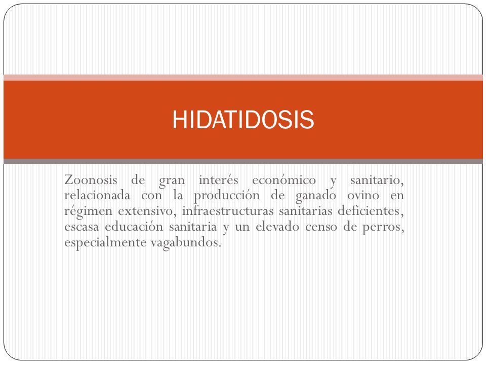HIDATIDOSIS