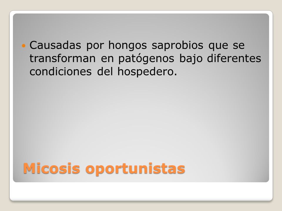 Causadas por hongos saprobios que se transforman en patógenos bajo diferentes condiciones del hospedero.