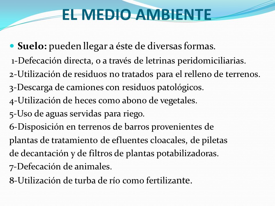 EL MEDIO AMBIENTE Suelo: pueden llegar a éste de diversas formas.