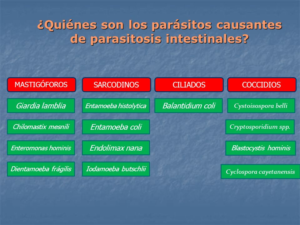 ¿Quiénes son los parásitos causantes de parasitosis intestinales