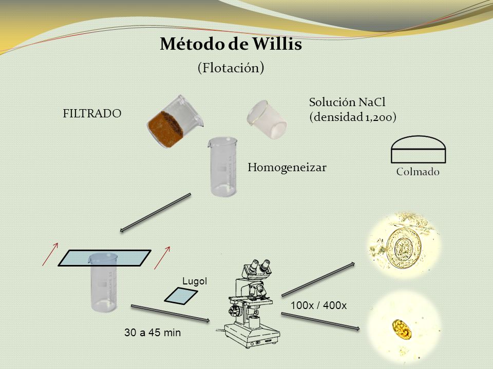 Método de Willis (Flotación) Solución NaCl (densidad 1,200) FILTRADO