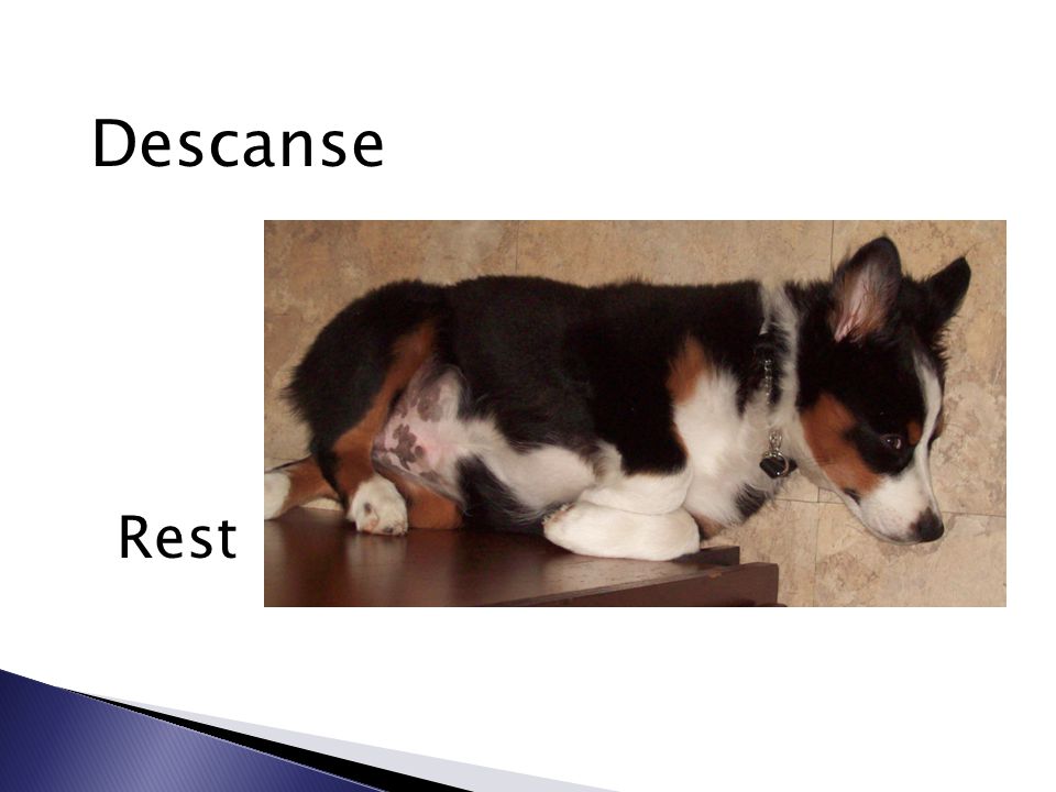 Descanse Rest