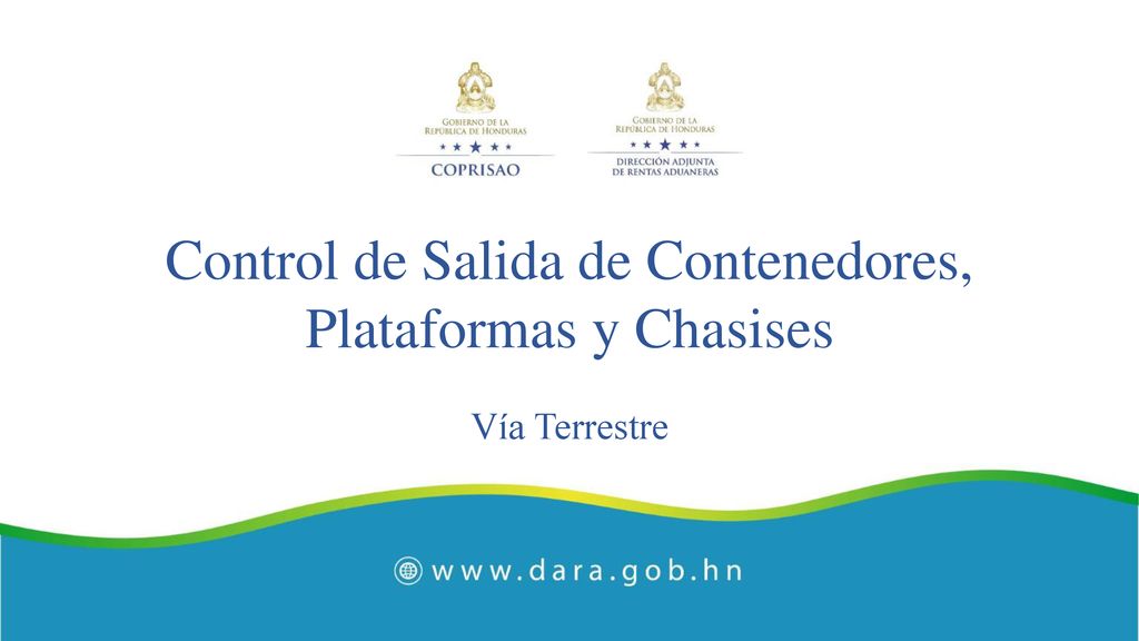 Control de Salida de Contenedores, Plataformas y Chasises