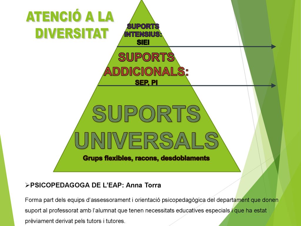 ATENCIÓ A LA DIVERSITAT PSICOPEDAGOGA DE L’EAP: Anna Torra