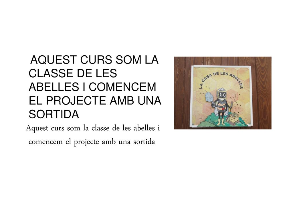 AQUEST CURS SOM LA CLASSE DE LES ABELLES I COMENCEM EL PROJECTE AMB UNA SORTIDA