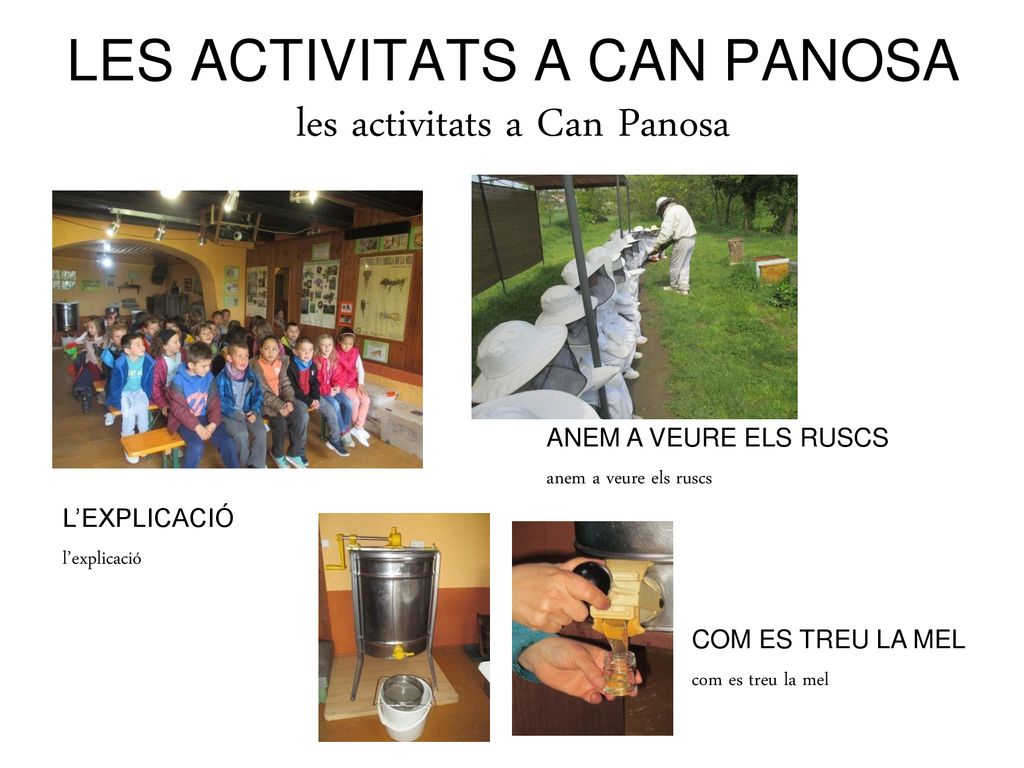 LES ACTIVITATS A CAN PANOSA les activitats a Can Panosa