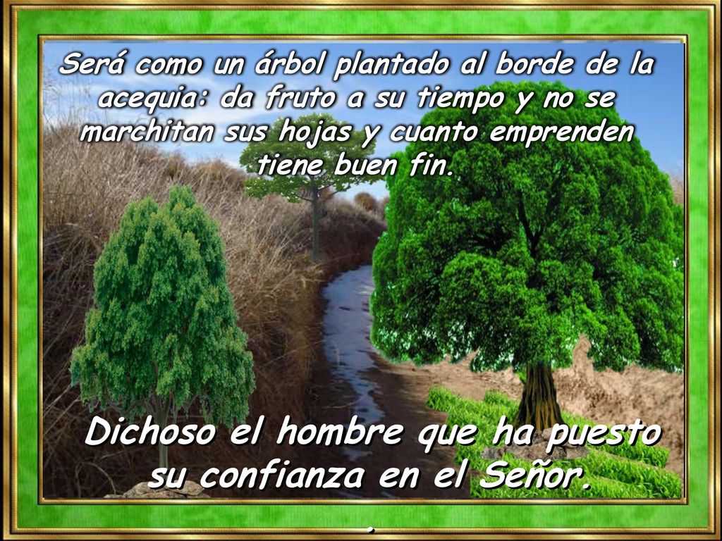Dichoso el hombre que ha puesto su confianza en el Señor.