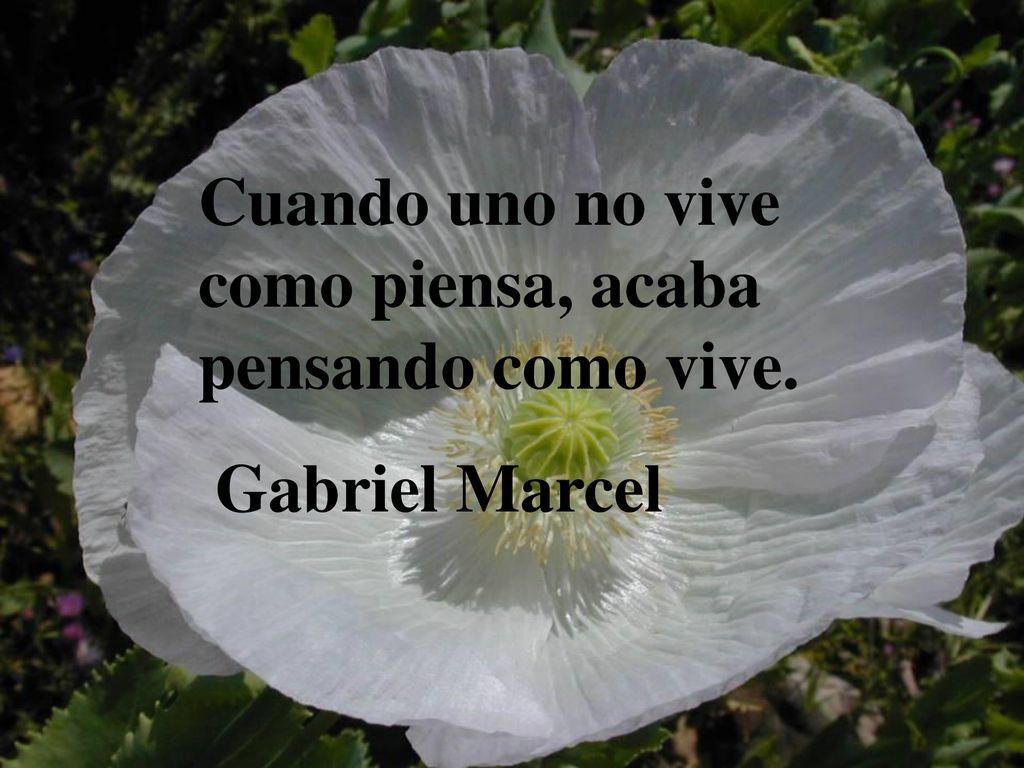 Cuando uno no vive como piensa, acaba pensando como vive.
