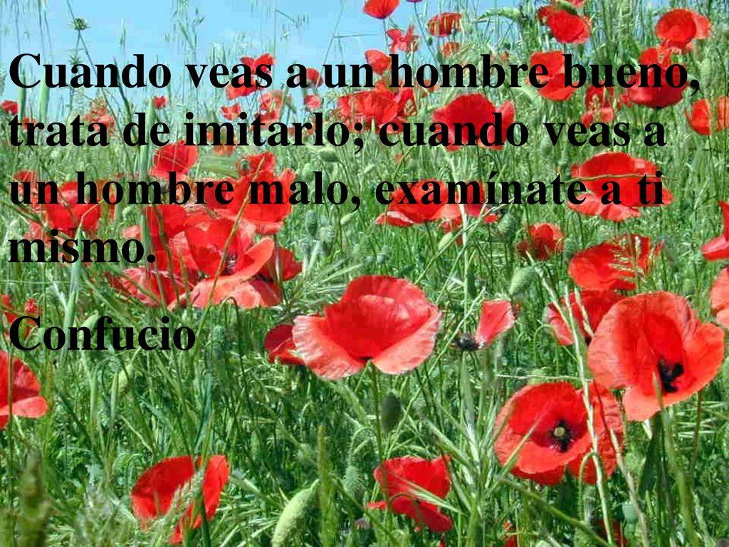 Cuando veas a un hombre bueno, trata de imitarlo; cuando veas a un hombre malo, examínate a ti mismo.