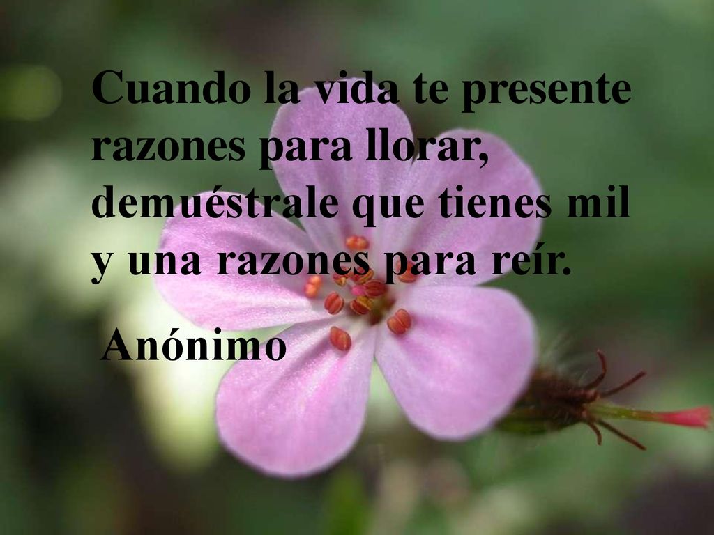 Cuando la vida te presente razones para llorar, demuéstrale que tienes mil y una razones para reír.