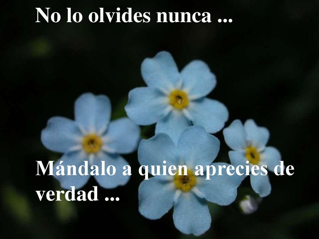 No lo olvides nunca ... Mándalo a quien aprecies de verdad ...