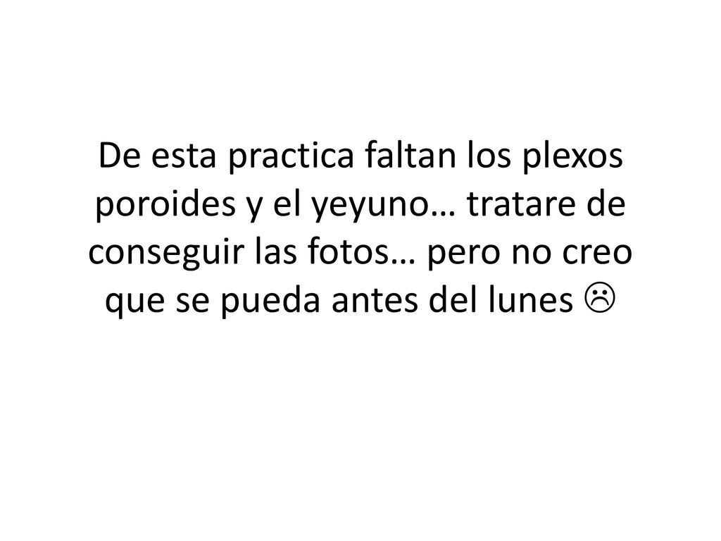 De esta practica faltan los plexos poroides y el yeyuno… tratare de conseguir las fotos… pero no creo que se pueda antes del lunes 
