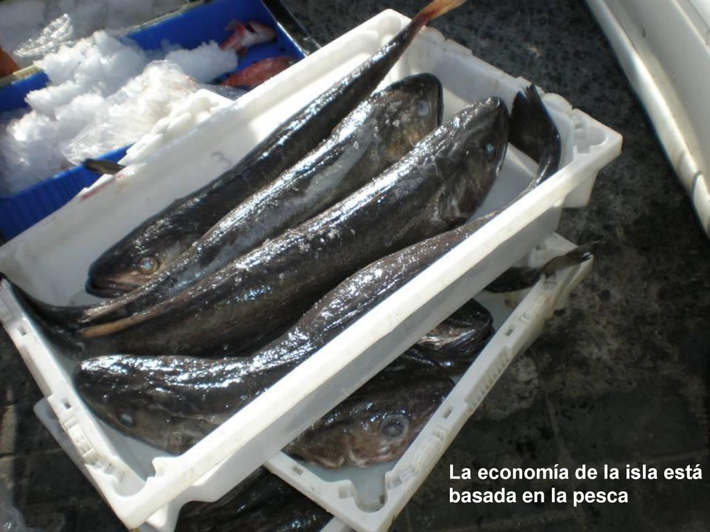 La economía de la isla está basada en la pesca