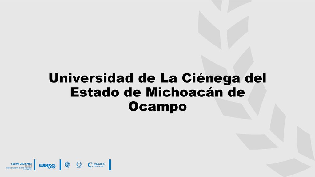 Universidad de La Ciénega del Estado de Michoacán de Ocampo
