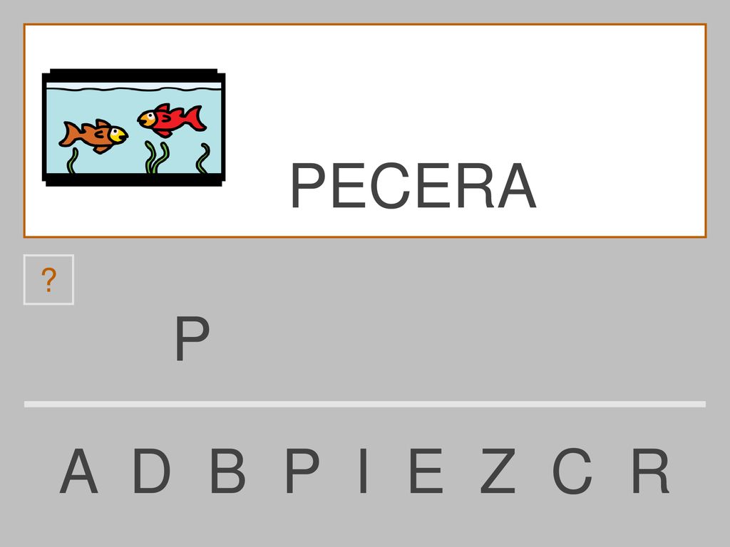 PECERA P A D B P I E Z C R