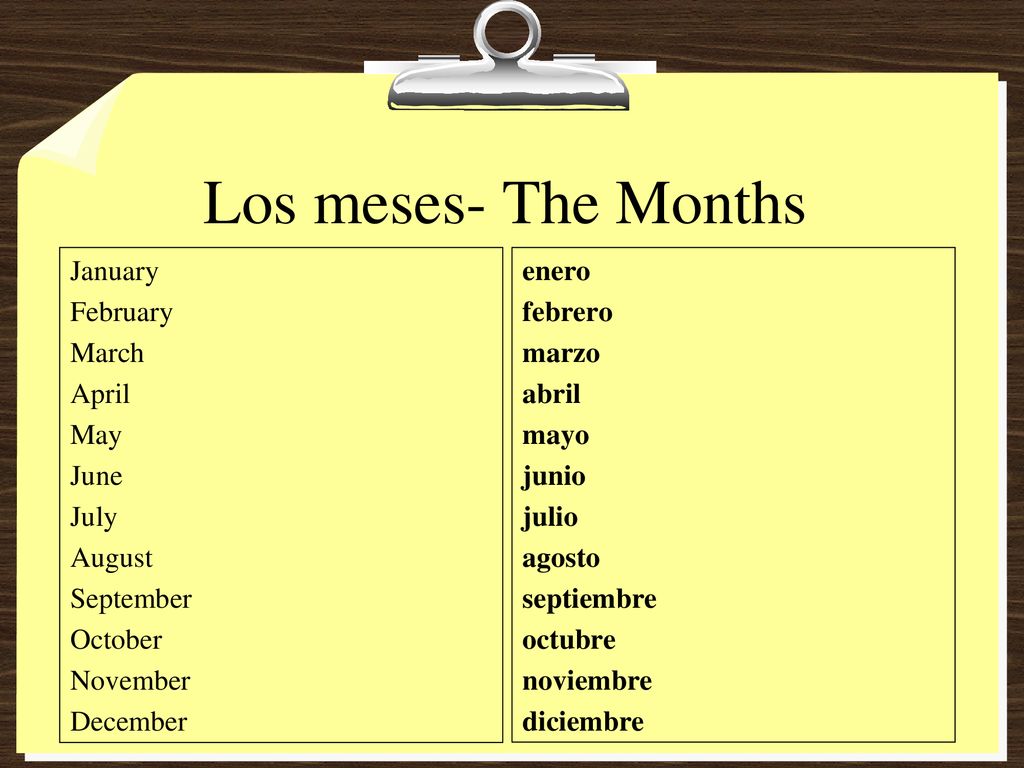 Los meses- The Months January February March April May June July August September October November December
