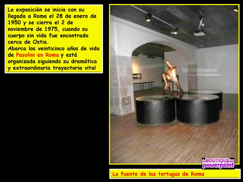 La exposición se inicia con su llegada a Roma el 28 de enero de 1950 y se cierra el 2 de noviembre de 1975, cuando su cuerpo sin vida fue encontrado cerca de Ostia.