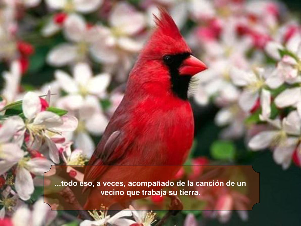 ...todo eso, a veces, acompañado de la canción de un vecino que trabaja su tierra.